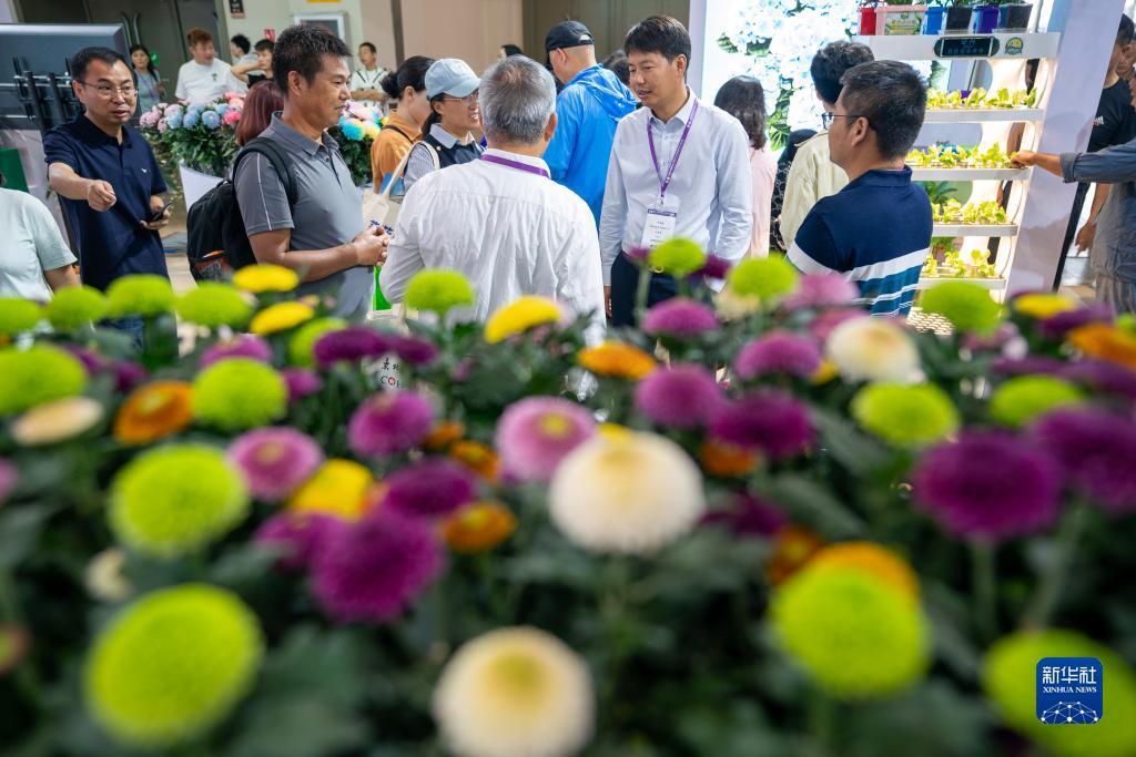 捕鱼达人之南海风云下载